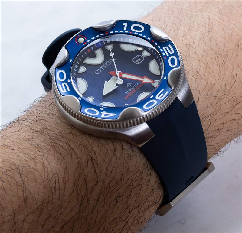 觀看評論：Citizen Promaster Diver Orca